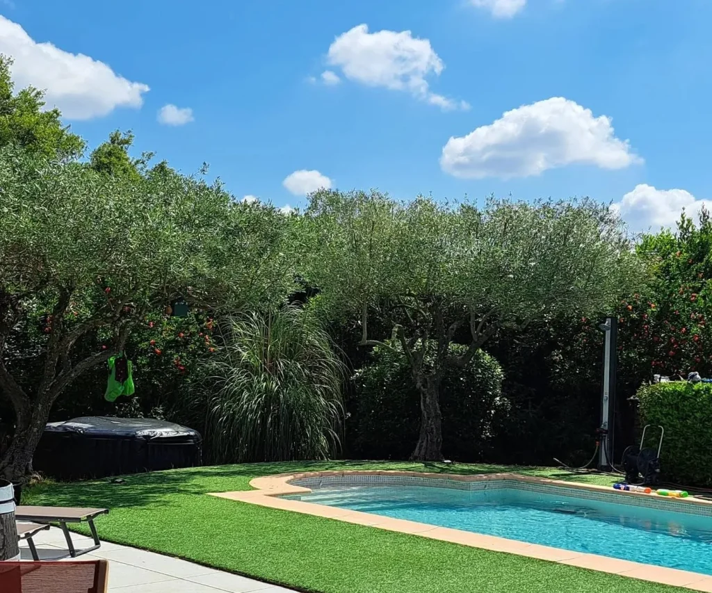 Entretien de jardin : jardin entretenu autour d'une piscine, oliviers et haies taillées