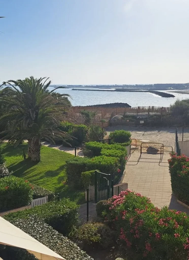 Jardin en bord d'étang : palmier, haies et allée dallée