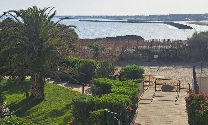 Jardin en bord d'étang : palmier, haies taillées et allée dallée face à la mer