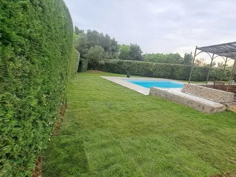 Le même jardin une fois le gazon posé : pelouse verte entre la haie et la piscine
