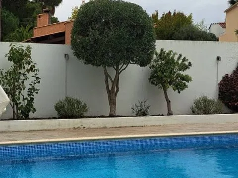 Taille d'arbustes : haies et arbustes taillés dans un jardin avec piscine, photo 3