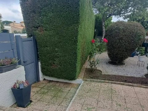Taille d'arbustes : haies et arbustes taillés dans un jardin avec piscine, photo 5