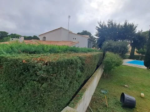Taille d'arbustes : haies et arbustes taillés dans un jardin avec piscine, photo 6