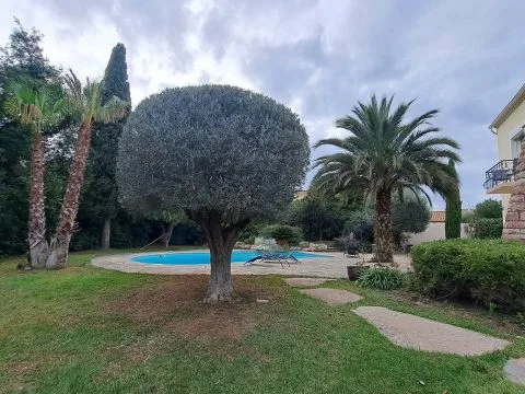 Taille d'arbustes : haies et arbustes taillés dans un jardin avec piscine, photo 7